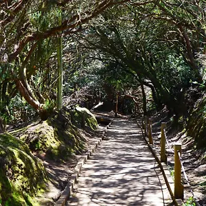 https://arena-beach-home.in-canary-islands.com